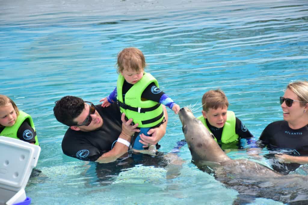 Visiting Dolphin Cay with our kids at Atlantis