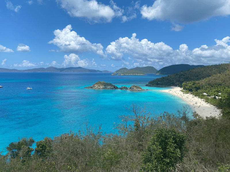 A view of Trunk Bay Beach from the road above. 