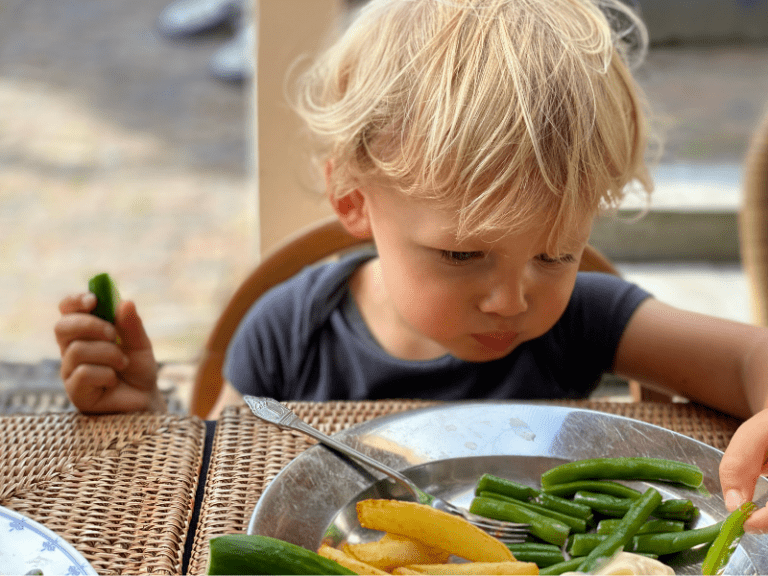 Meal Plan Samples for 12 to 18 Month Old Toddler